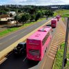 Ônibus da Viação Garcia desfilam com selo da campanha “Doe 1% Pela Vida”